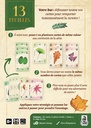 13 Feuilles - FR