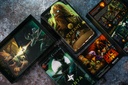 Dice Throne Sais. 1 - Treant contre Ninja