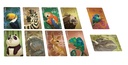 SIMILO ANIMAUX SAUVAGES - FR