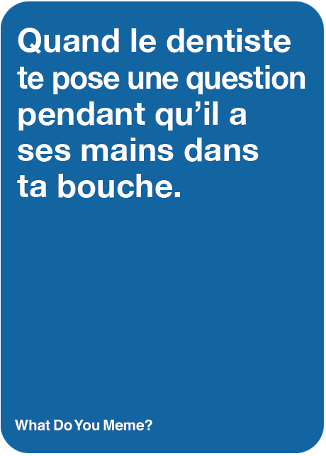What Do You Meme ? Famille - Édition Québécoise - FR